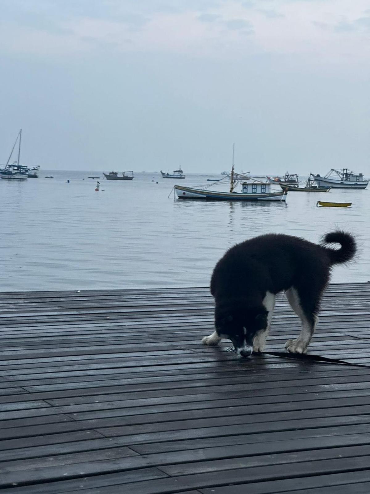 Pousada Refugio Paradisiaco 1 Picarras Ngoại thất bức ảnh